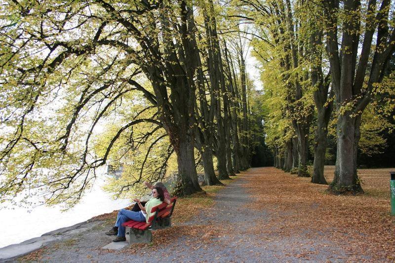 Ferienhof Schoengarten Lindau  Luaran gambar